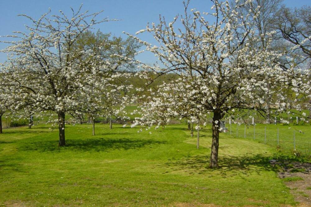 Photo of Outdoor in Saint-Pierre-de-Manneville