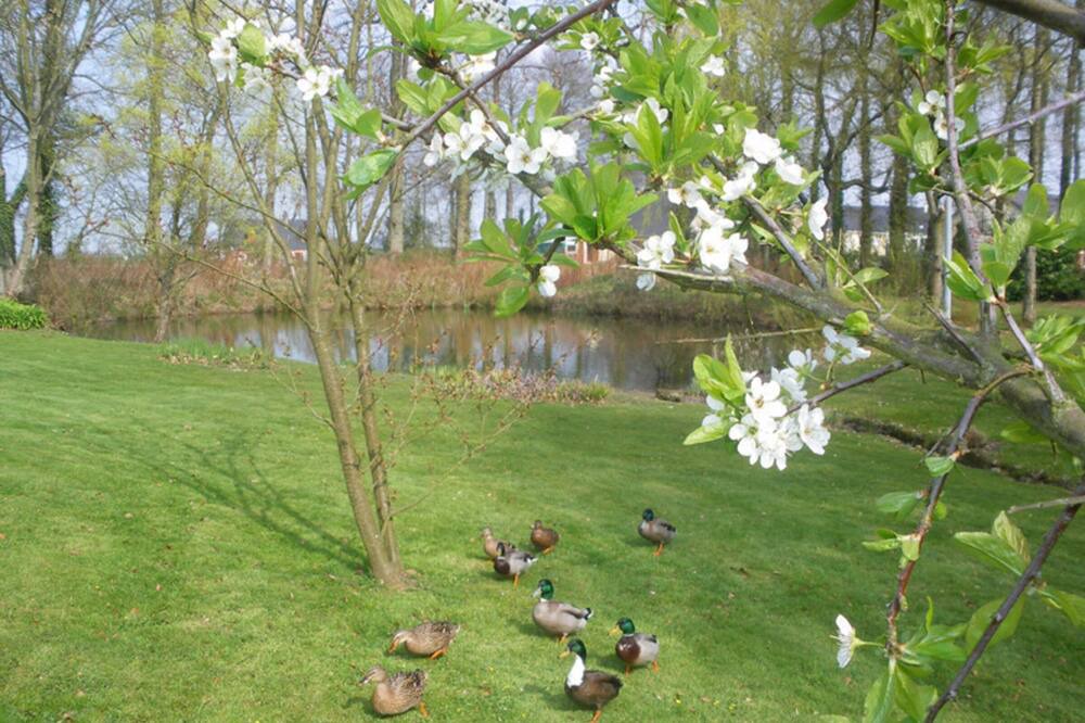 Photo of Outdoor in Annouville-Vilmesnil