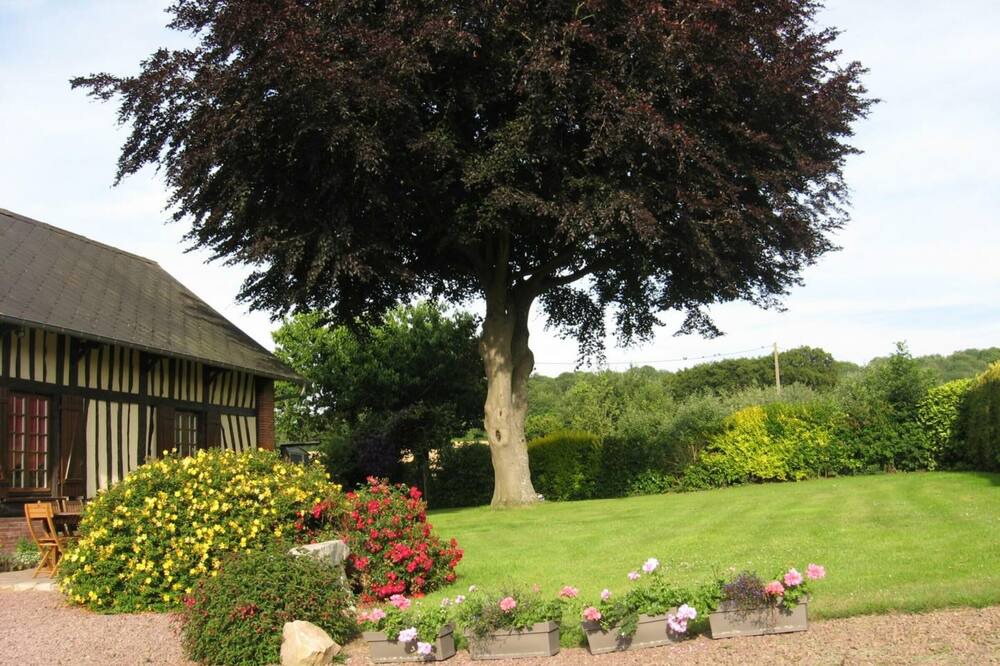 Photo of Outdoor in Sainte-Beuve-en-Riviere