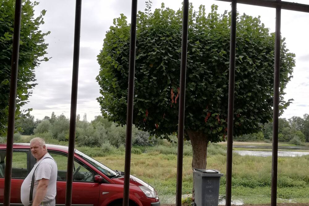 Photo of Others in Neuvy-sur-Loire