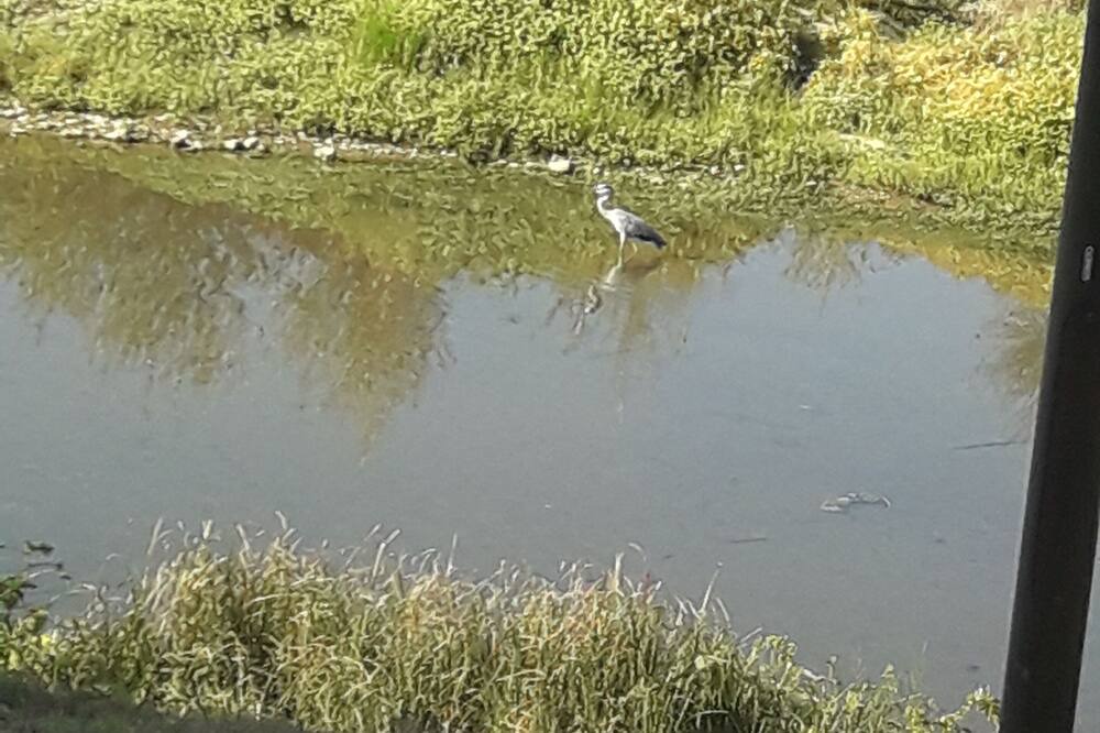 Photo of Others in Neuvy-sur-Loire
