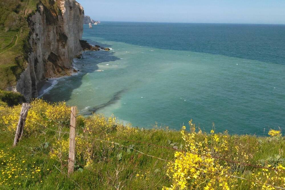 Photo of Others in Vattetot-sur-Mer