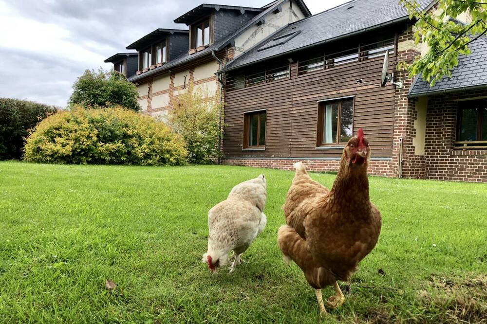 Photo of Outdoor in Quincampoix