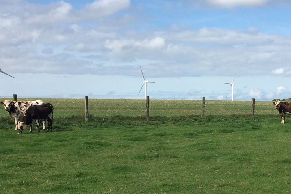 Photo of Outdoor in Foucarmont