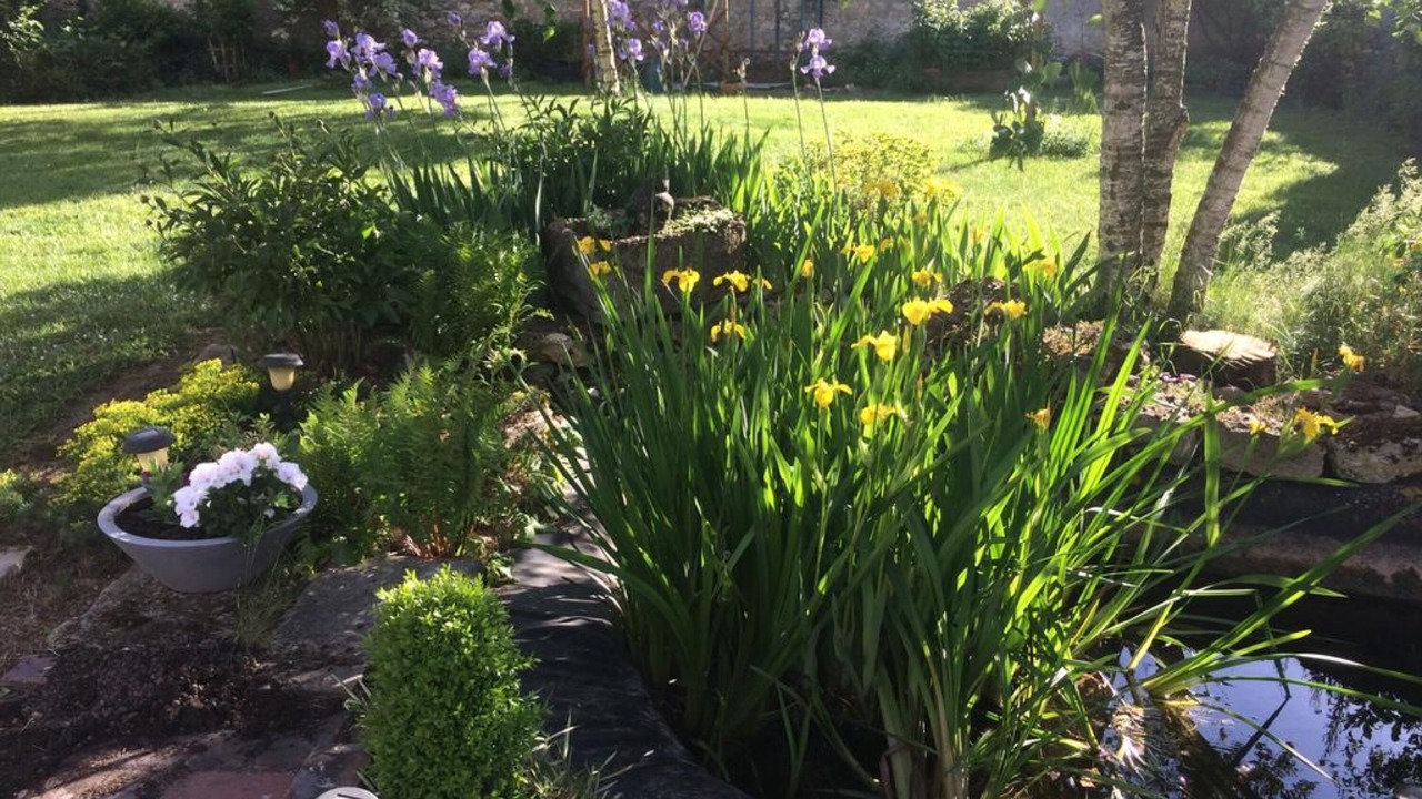 Photo of Outdoor in Maisons