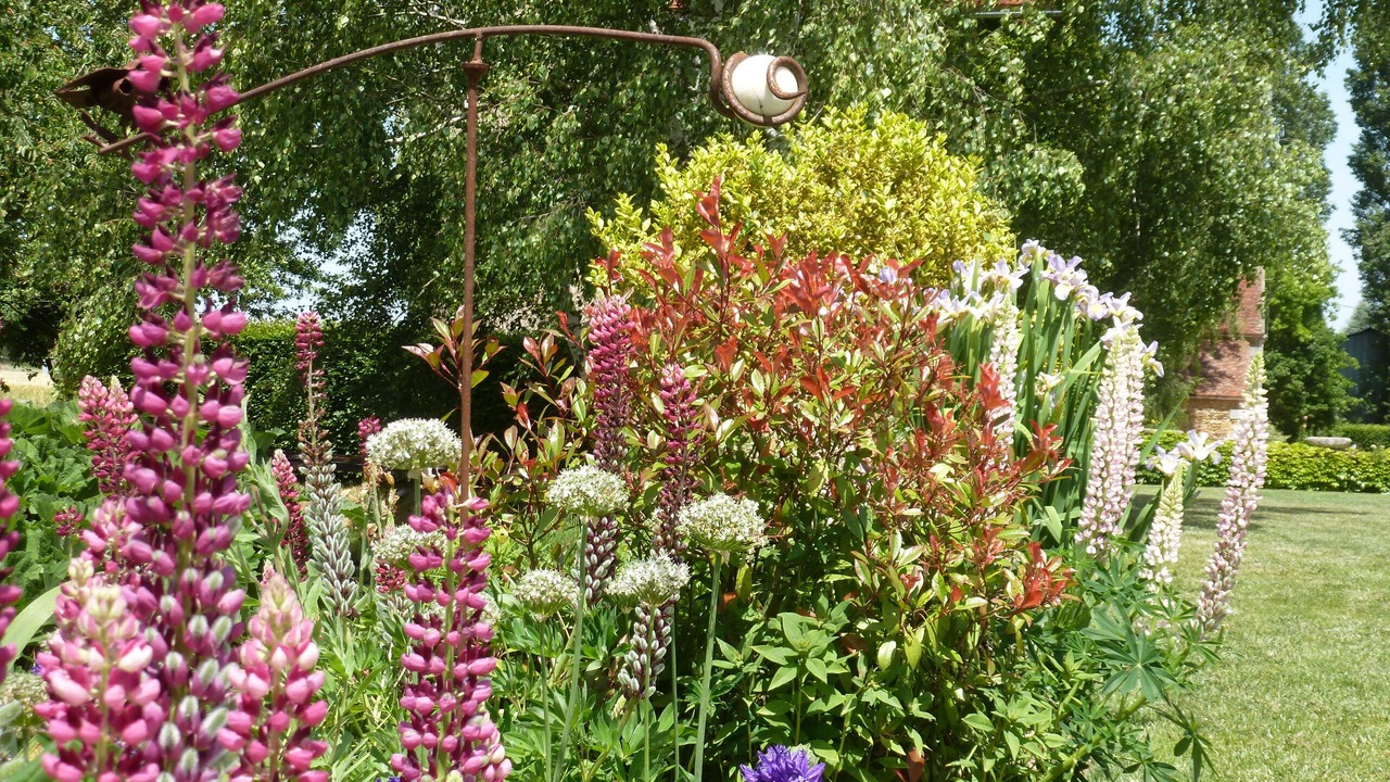 Photo of Outdoor in Chevannes