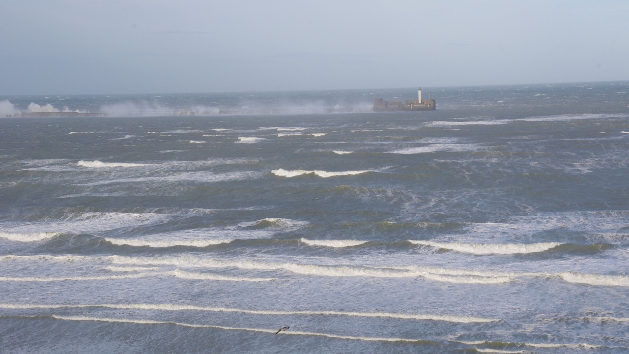 Photo of Others in Boulogne-sur-Mer