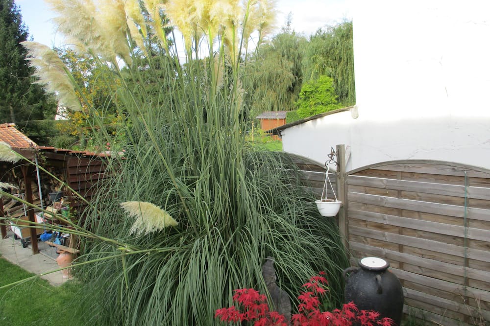 Photo of Outdoor in La Madelaine-sous-Montreuil