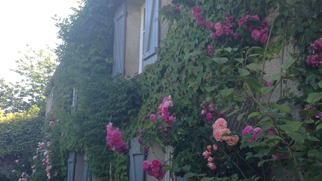 Photo of Outdoor in Survilliers