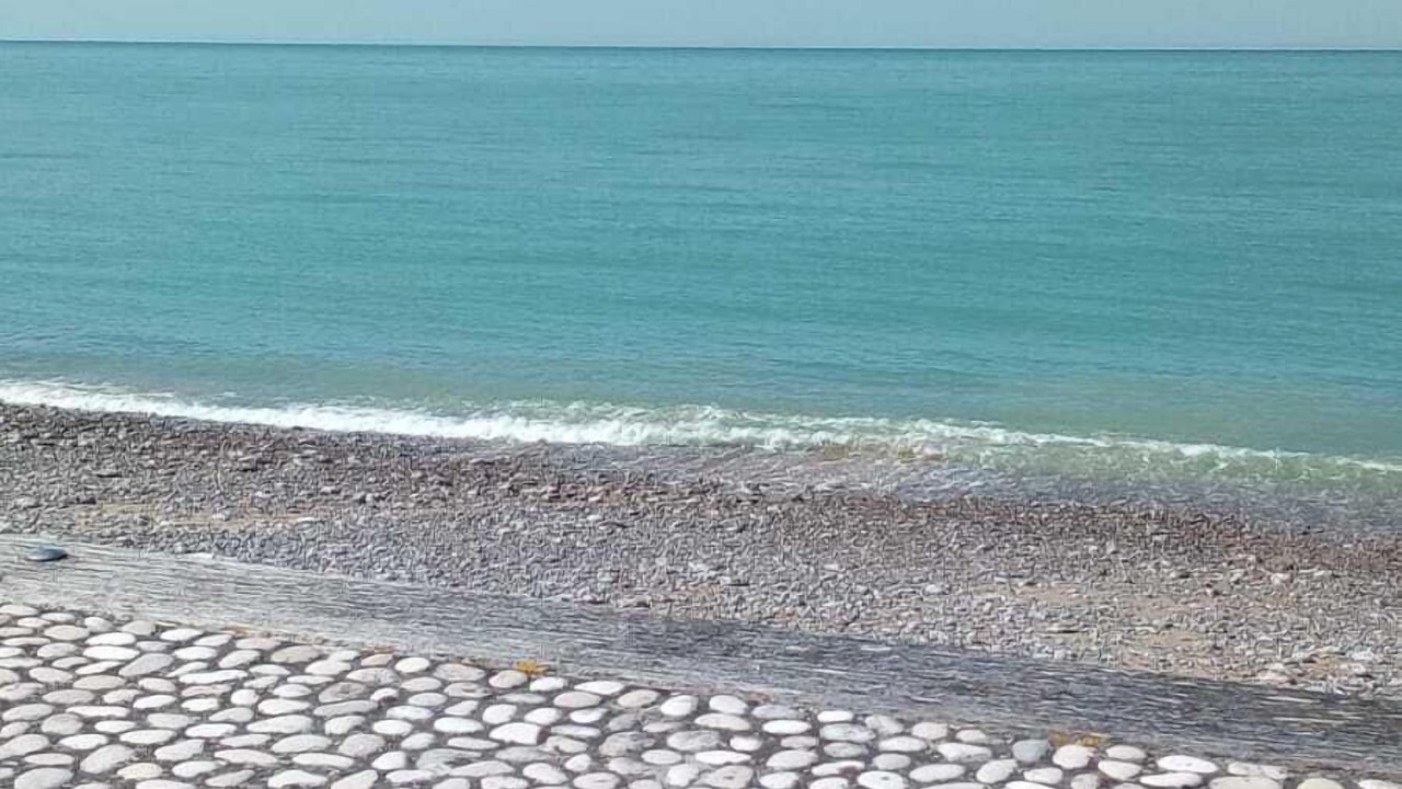 Photo of Others in Veulettes-sur-Mer