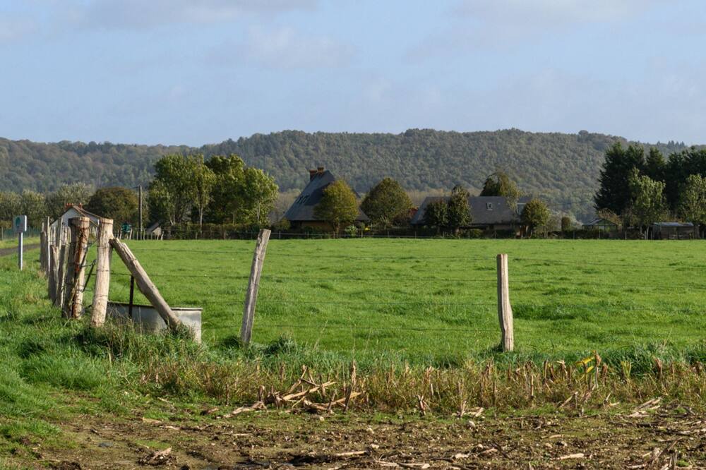Photo of Outdoor in Notre-Dame-de-Bliquetuit