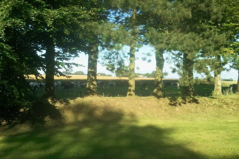 Photo of Outdoor in Criquetot-lʼEsneval