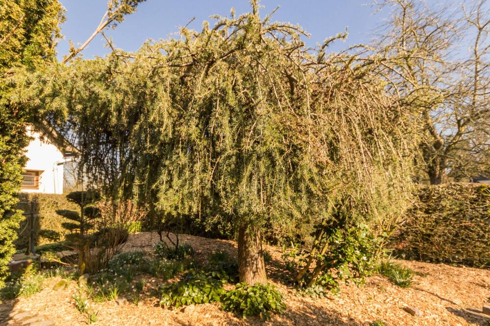 Photo of Outdoor in Bois-Heroult