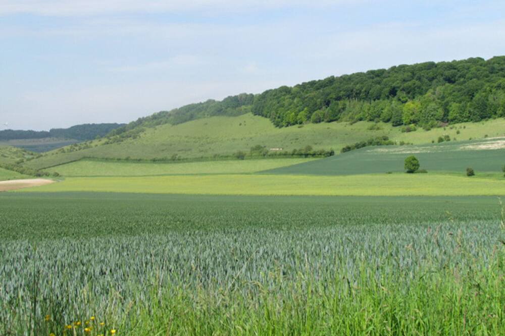 Photo of Others in Campneuseville