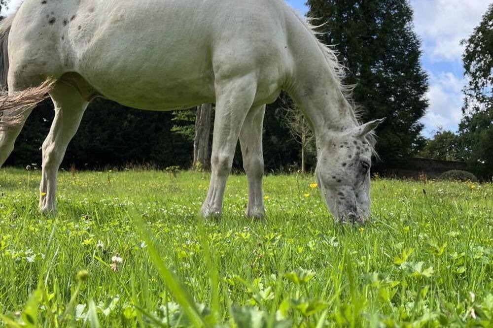 Photo of Outdoor in Walincourt-Selvigny