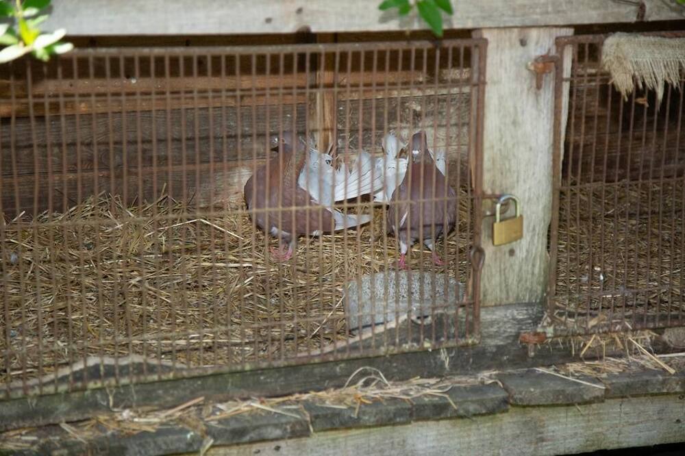 Photo of Others in Saint-Ouen-sous-Bailly