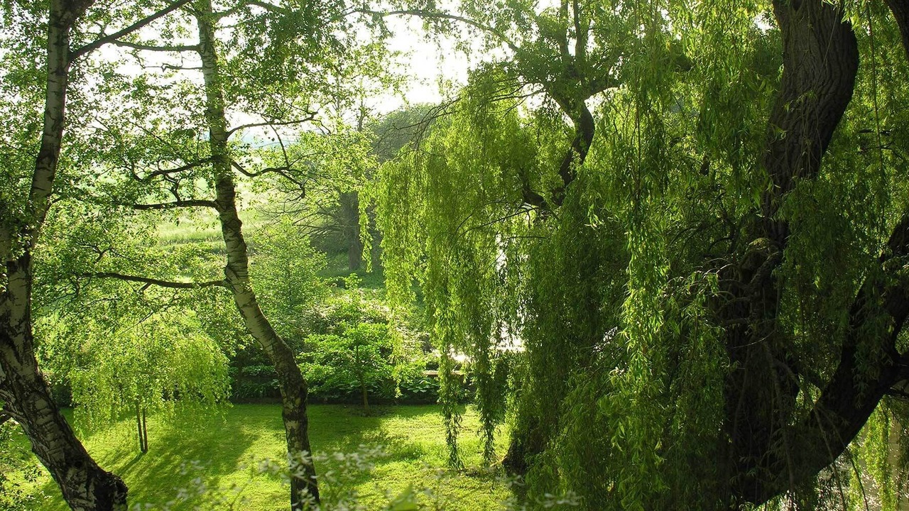 Photo of Outdoor in La Wantzenau