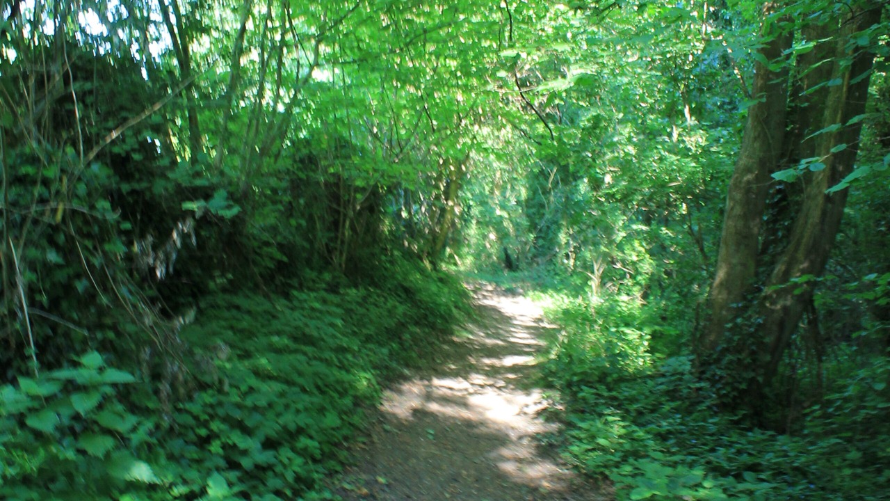 Photo of Outdoor in Sailly-Laurette