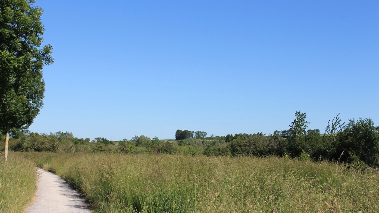 Photo of Outdoor in Sailly-Laurette