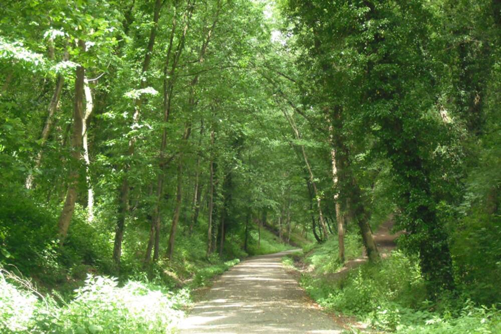 Photo of Outdoor in Forges-les-Eaux