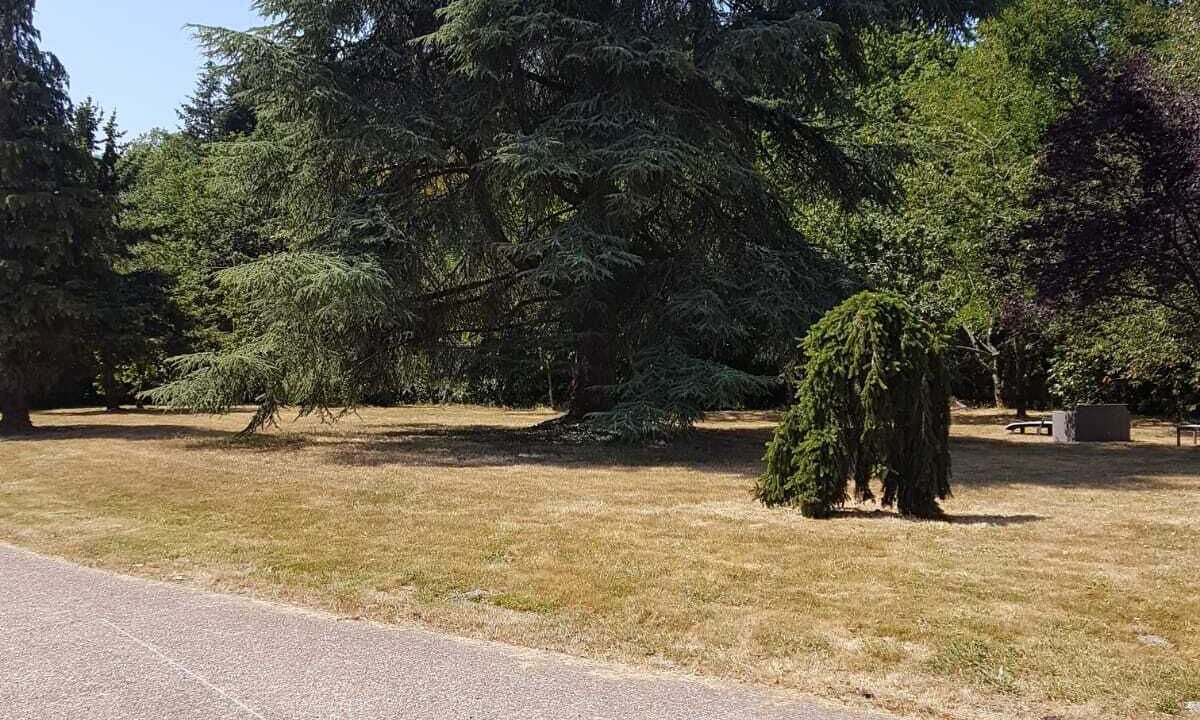 Photo of Outdoor in Conflans-sur-Anille
