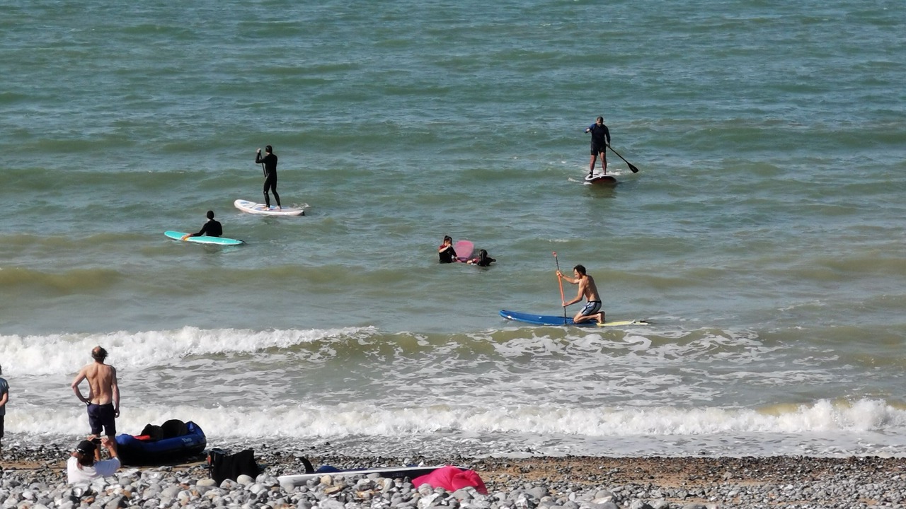 Photo of Others in Pourville-sur-Mer