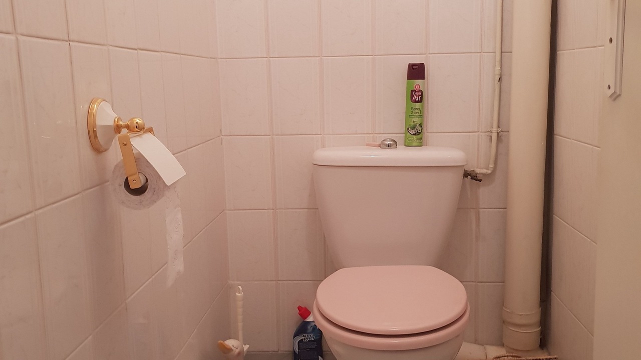 Photo of Bathroom in La Haye-du-Theil