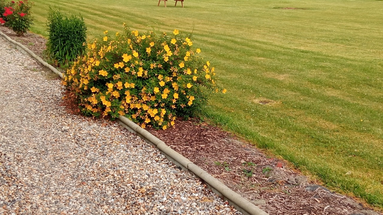 Photo of Outdoor in Cayeux-sur-Mer
