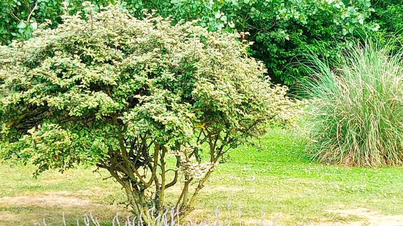 Photo of Outdoor in Cayeux-sur-Mer