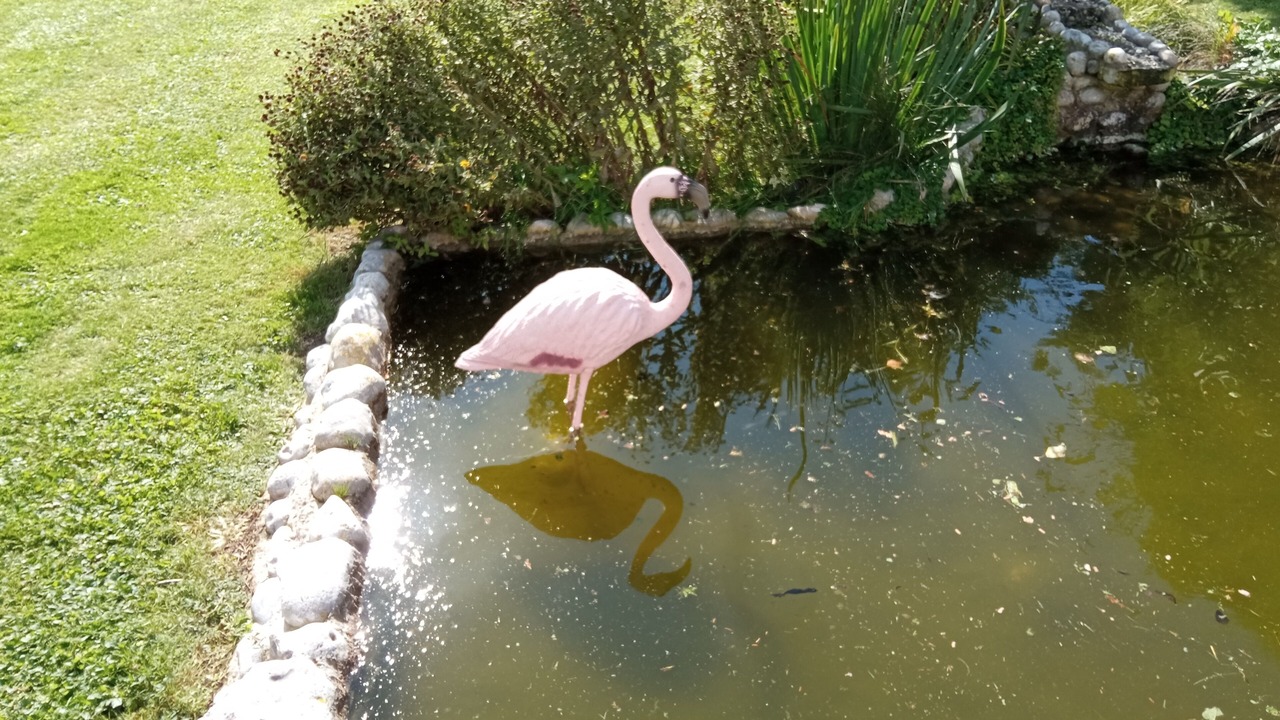 Photo of Outdoor in Cayeux-sur-Mer