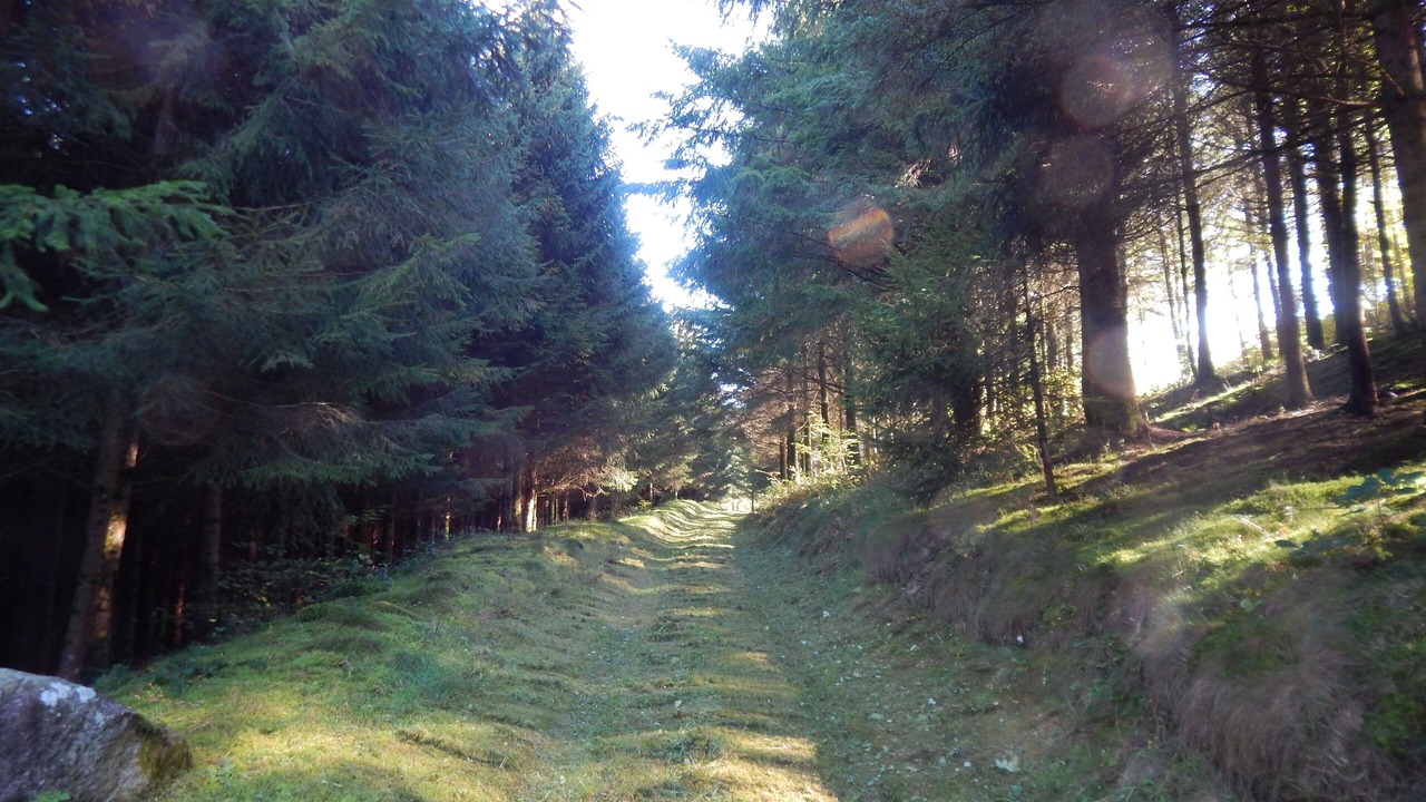 Photo of Outdoor in Servance-Miellin