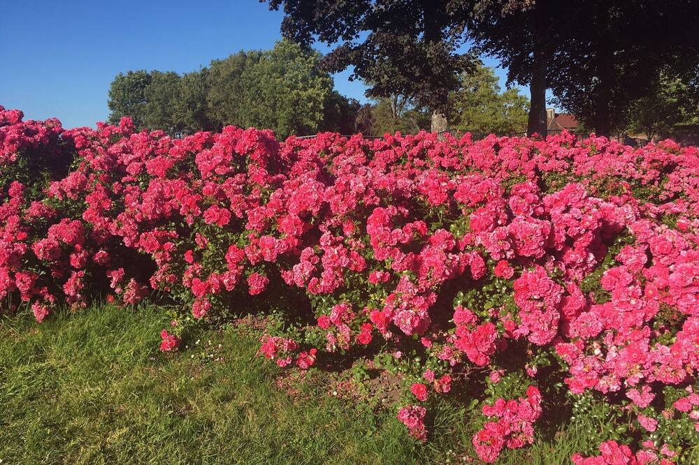 Photo of Outdoor in Montreuil-sur-Mer