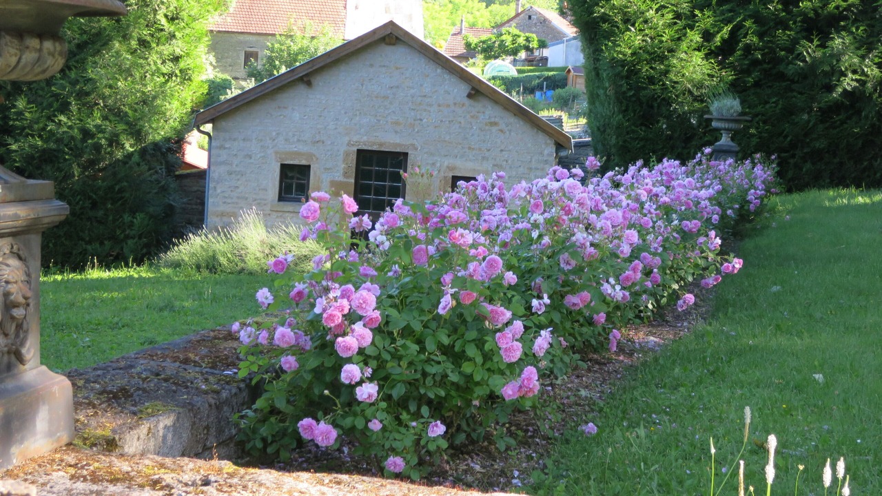 Photo of Outdoor in Baulme-la-Roche