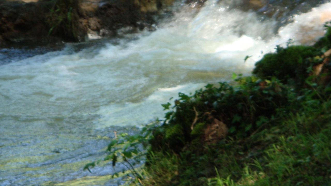 Photo of Others in Baulme-la-Roche