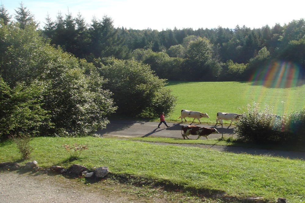 Photo of Others in Saint-Maurice-Crillat