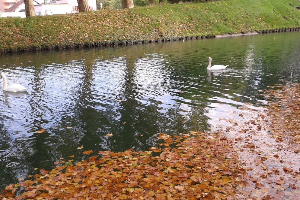 Photo of Outdoor in Illkirch-Graffenstaden