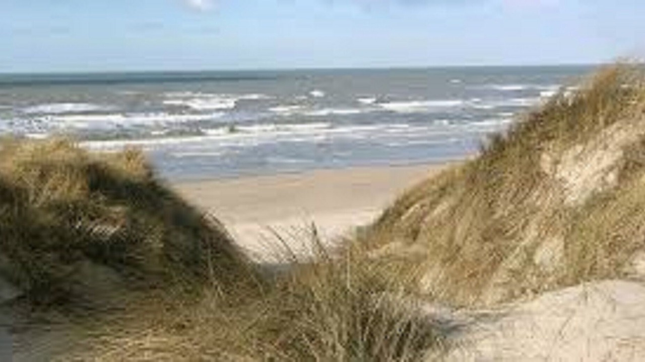Photo of Others in Bray-Dunes