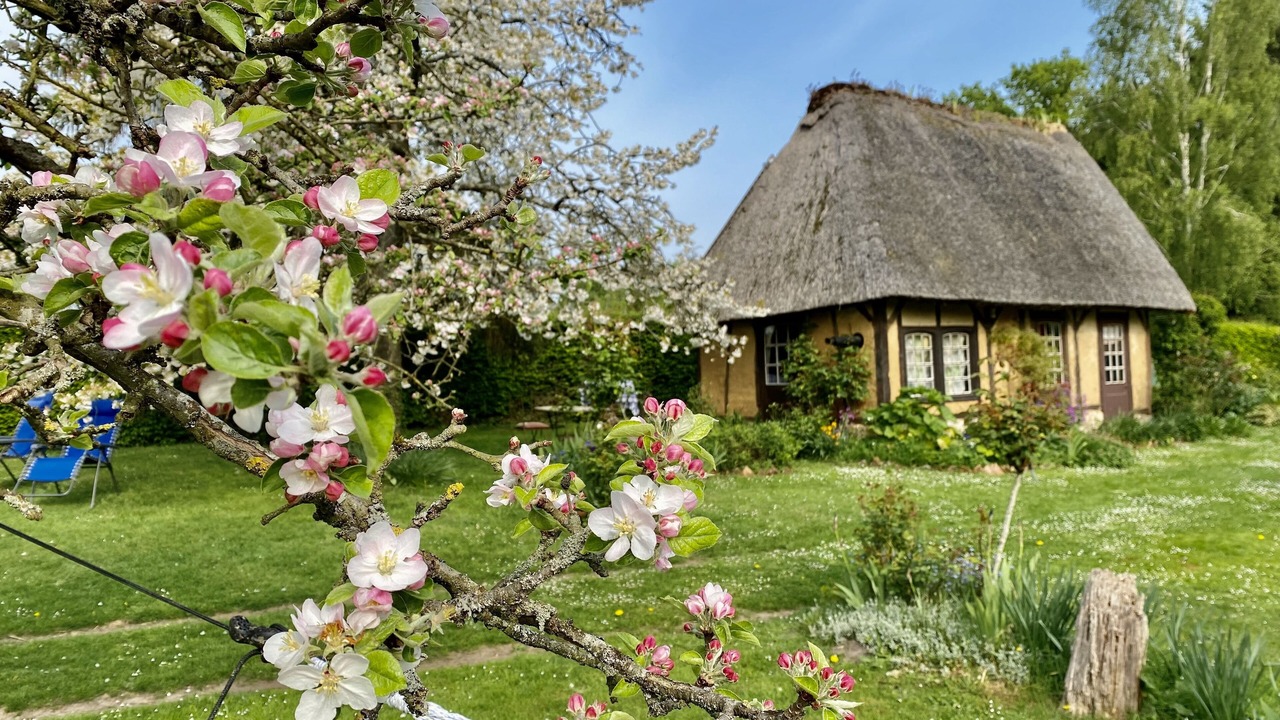 Photo of Outdoor in Bouquelon
