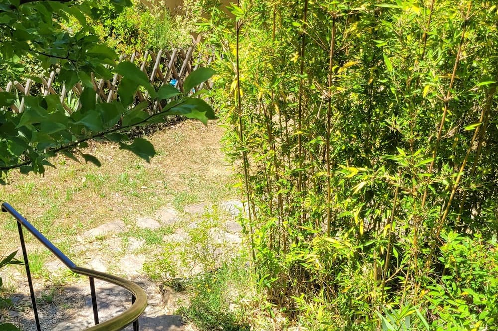 Photo of Outdoor in Chassiers