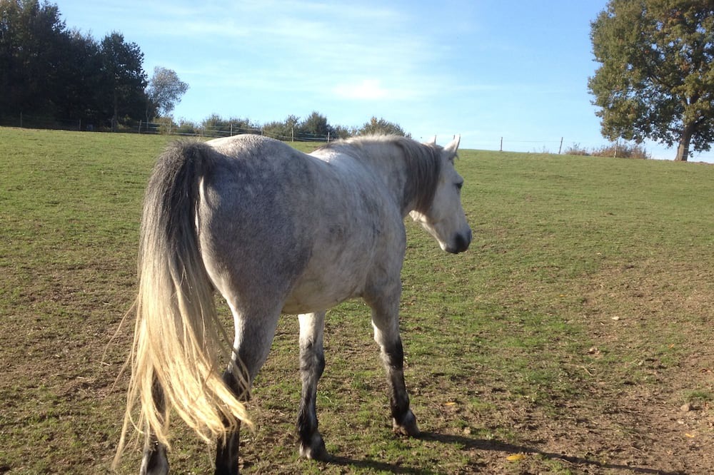Photo of Outdoor in Saint-Quentin-les-Beaurepaire