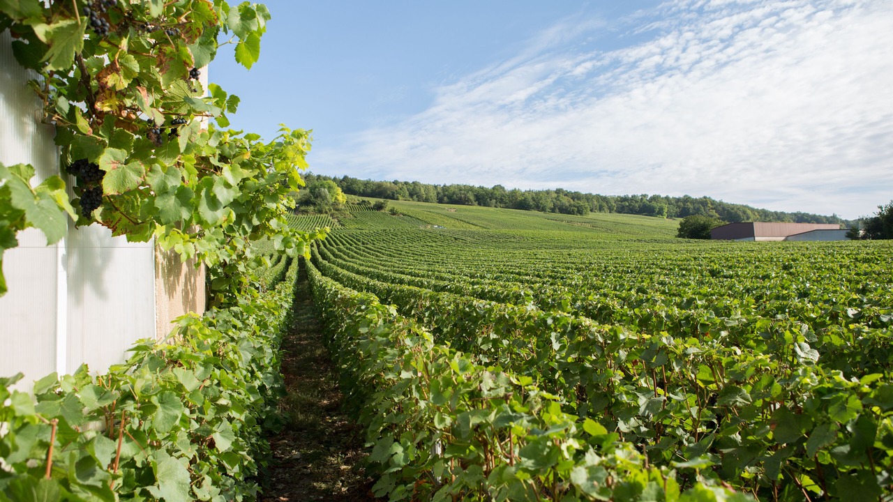 Photo of Outdoor in Venteuil