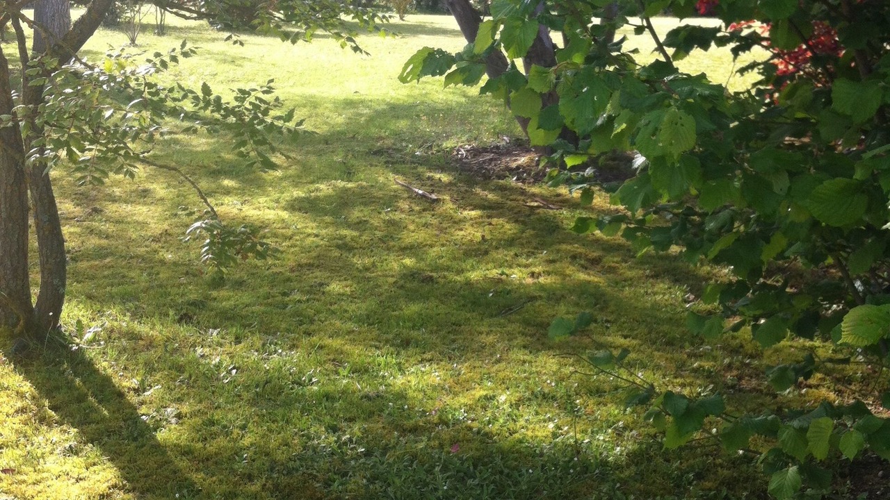 Photo of Outdoor in Beaulieu-sur-Loire