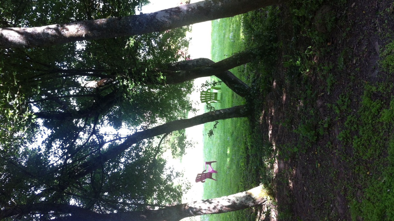 Photo of Others in Beaulieu-sur-Loire