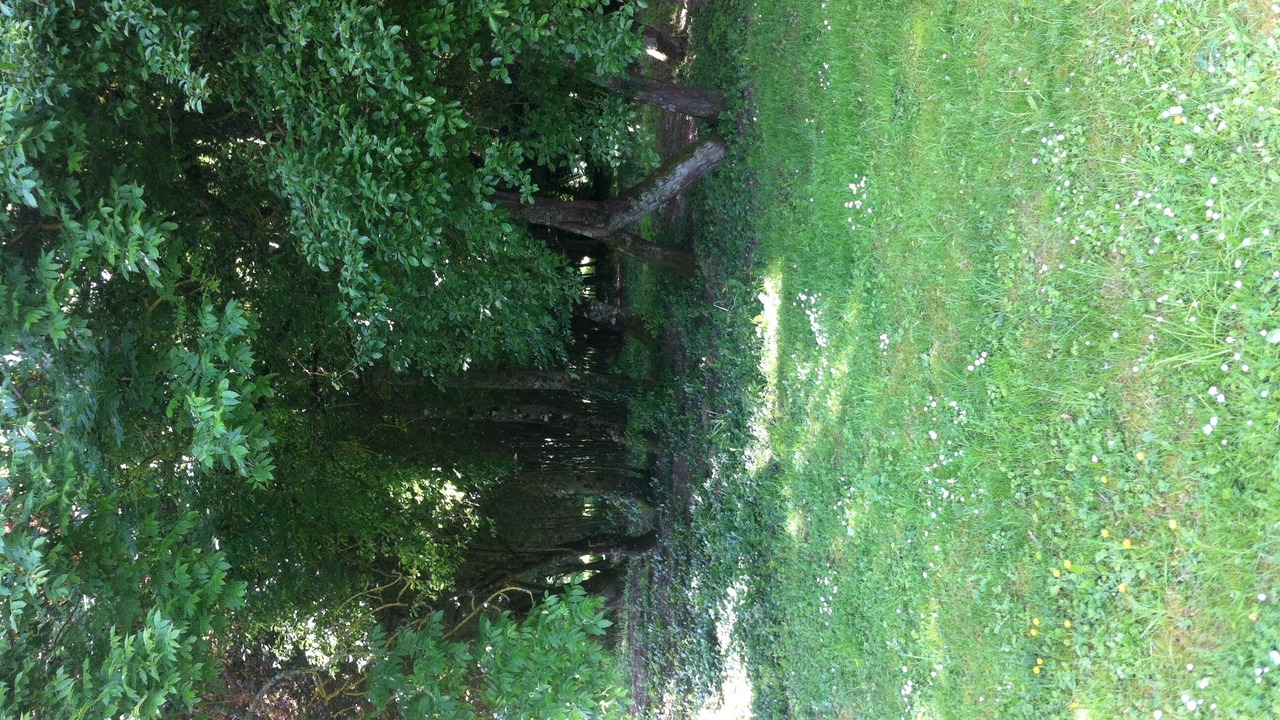 Photo of Others in Beaulieu-sur-Loire