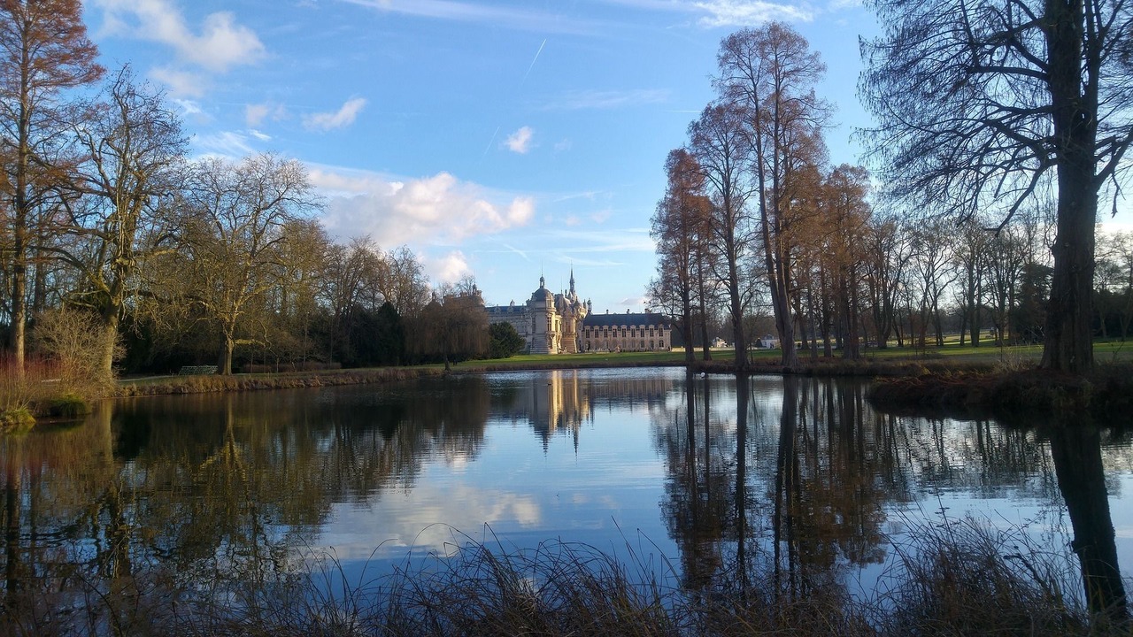 Photo of Others in Vineuil-Saint-Firmin