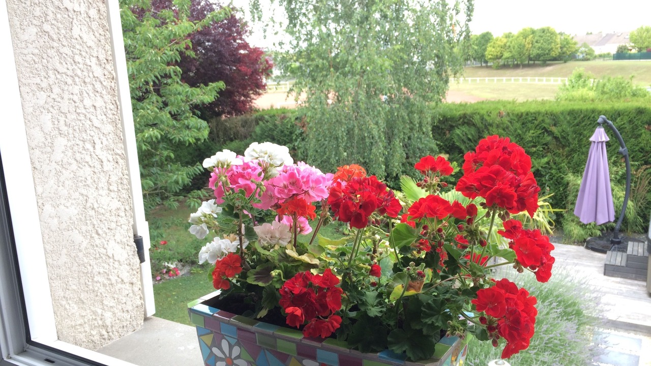 Photo of Outdoor in Muire - Haubette