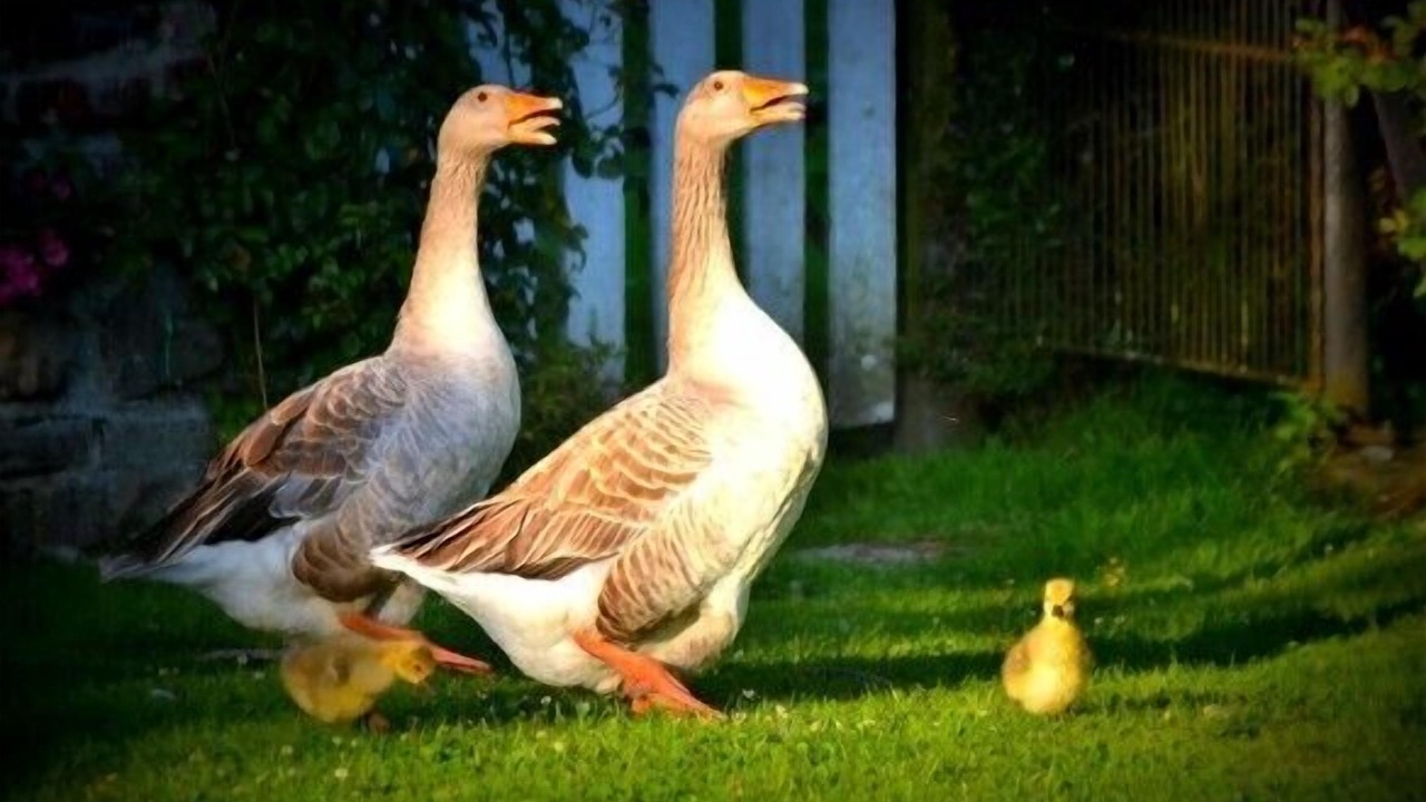 Photo of Outdoor in Bures-en-Bray
