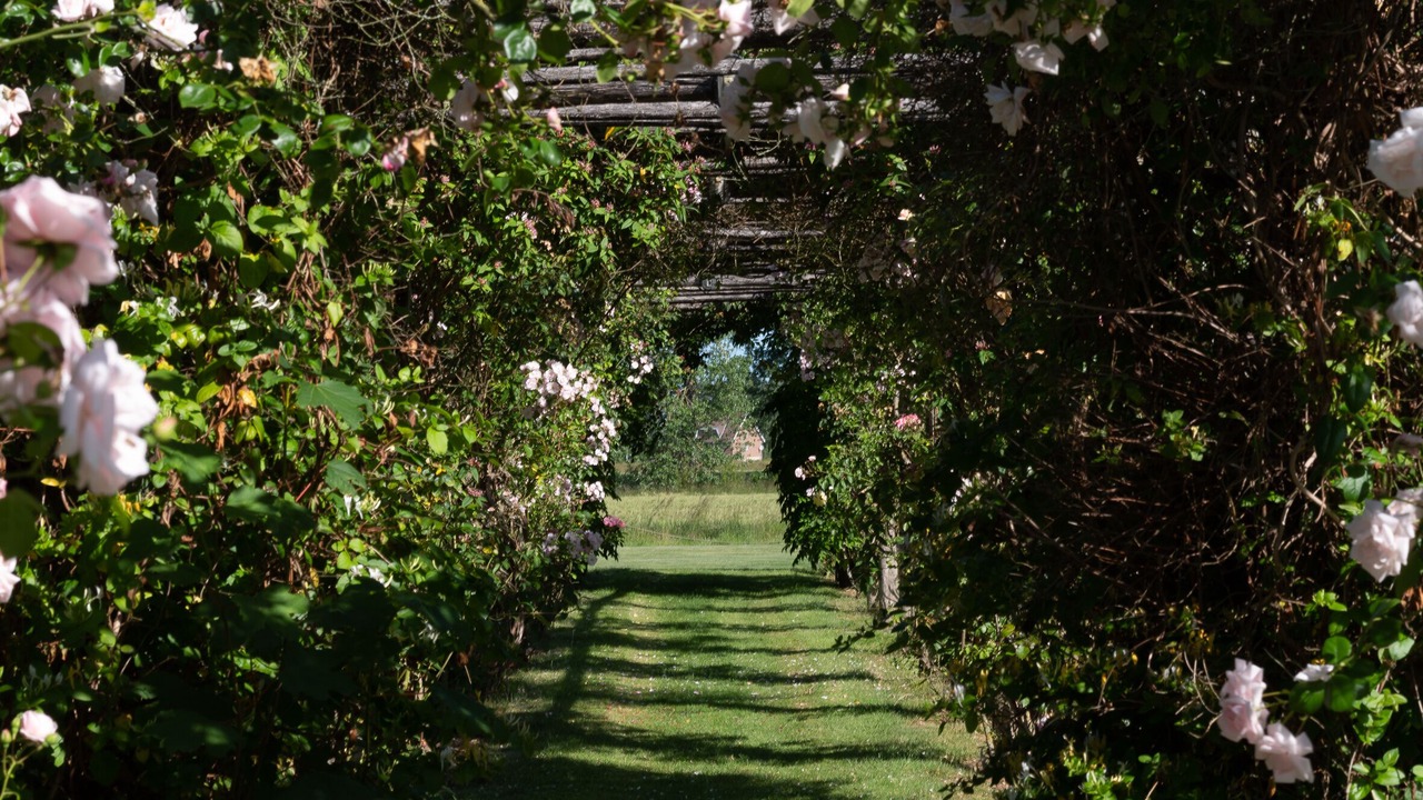 Photo of Outdoor in Busnes