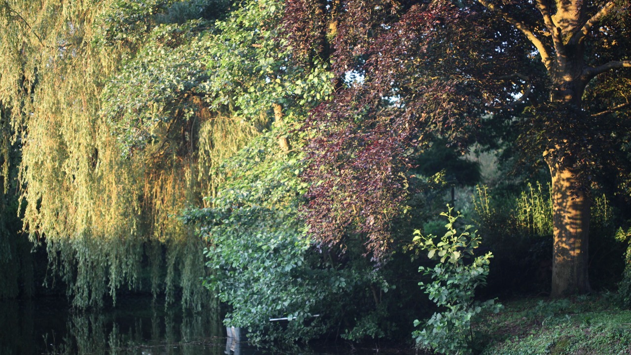 Photo of Outdoor in Busnes