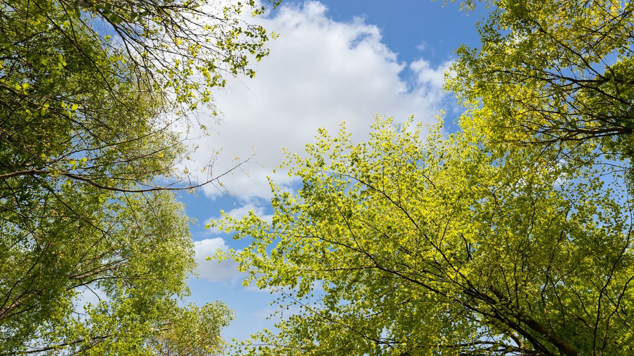 Photo of Outdoor in Bois-Guillaume